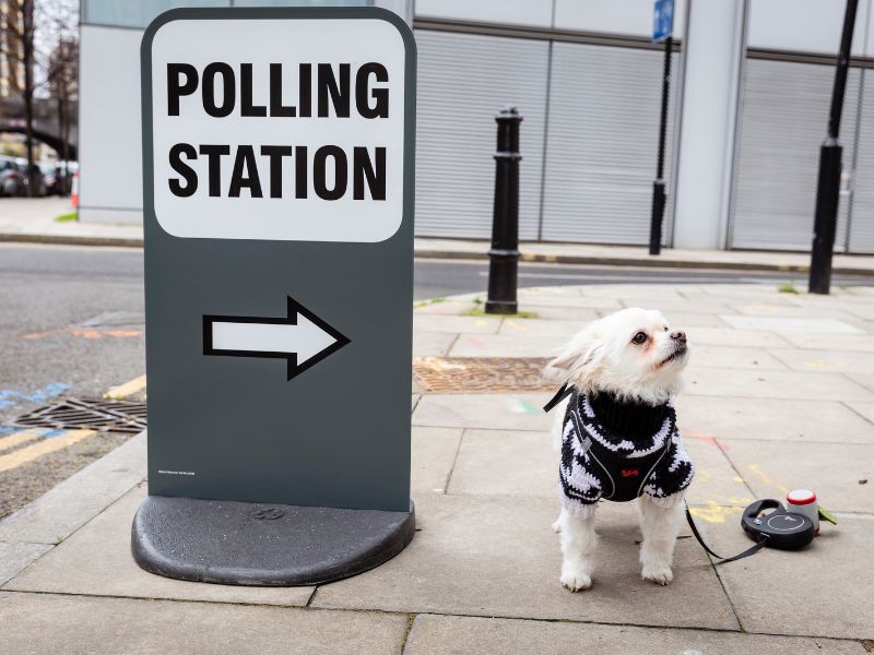 Dog in jumper next to polling station sign