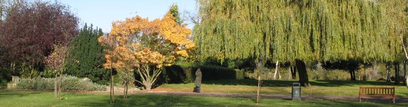 Barham Park images of trees