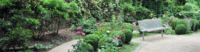 Mapesbury dell image of bench and flowers