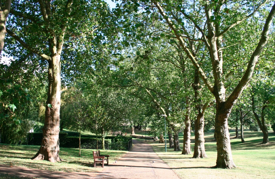 Image of Gladstone Park with green trees and a brown pathway