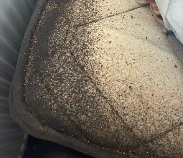 image of a bed with severe bedbug infestation