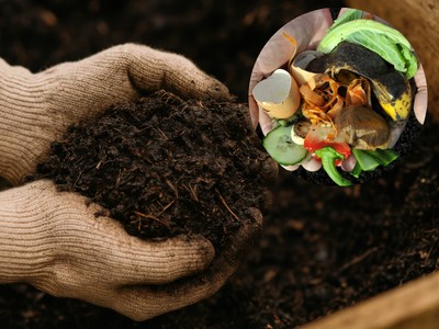 hands hold compost with a smaller image of kitchen waste