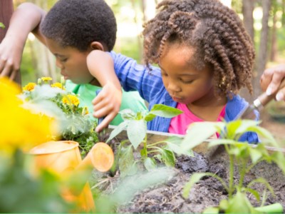 A boy and girl dig in a raised bed