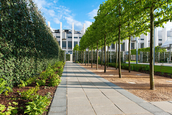 Ceremonies Garden at Brent Civic Centre