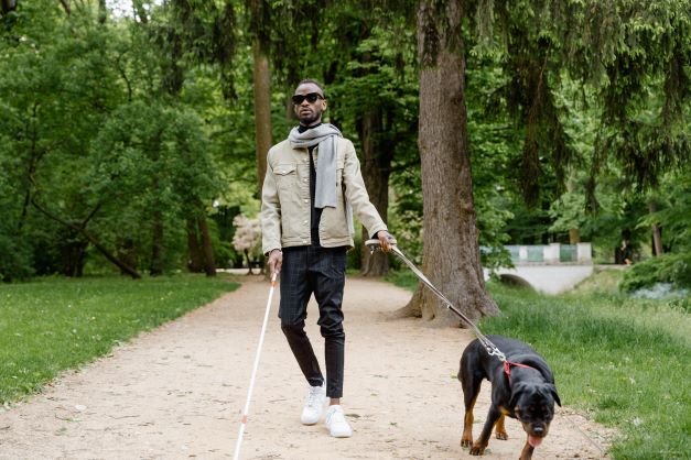 Young blind man walking his dog in the park
