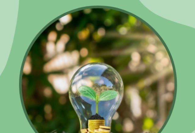 A lightbulb with a seedling inside it