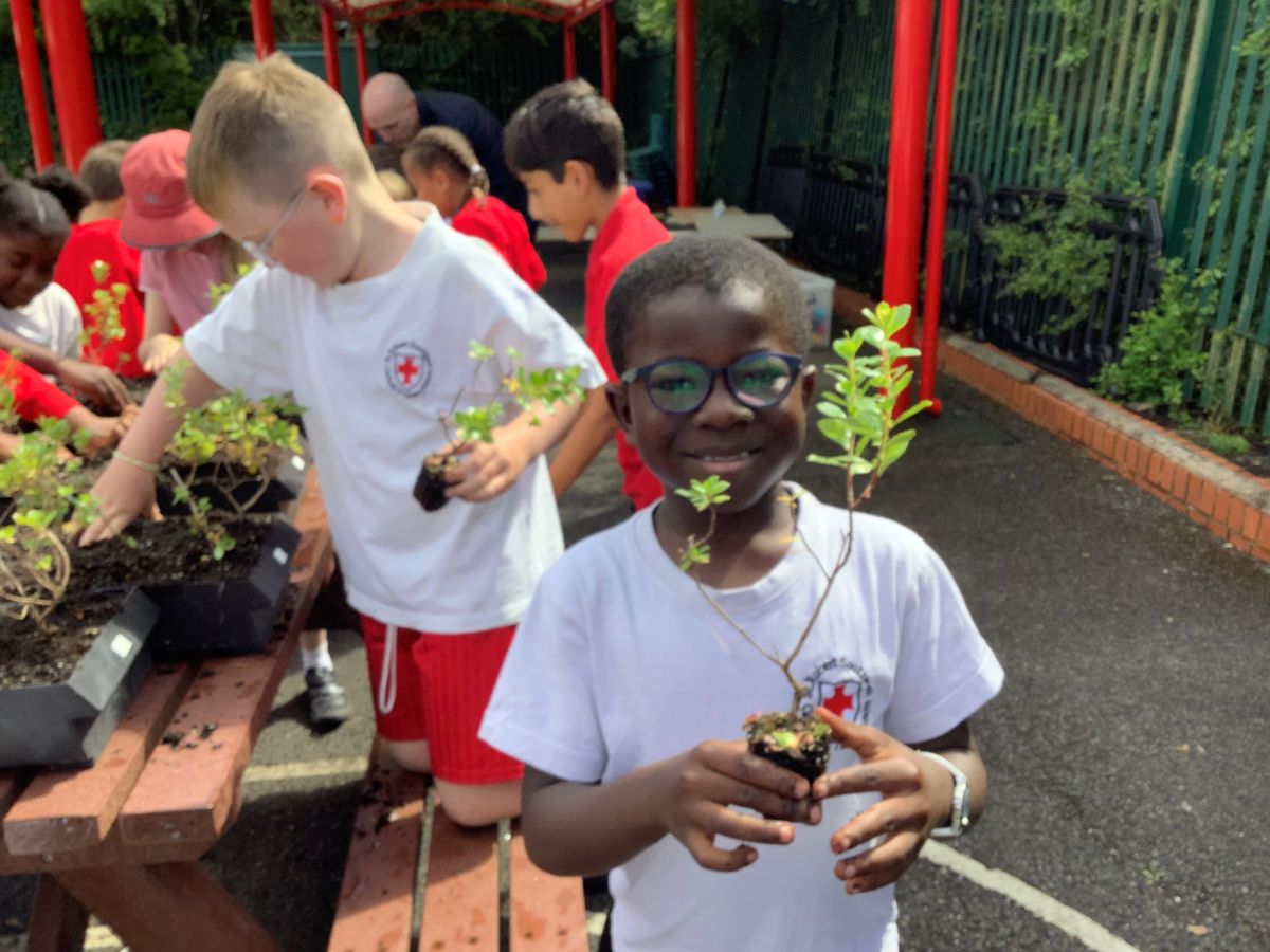 Young boy with glasses standing by a table outside, holding a sapling