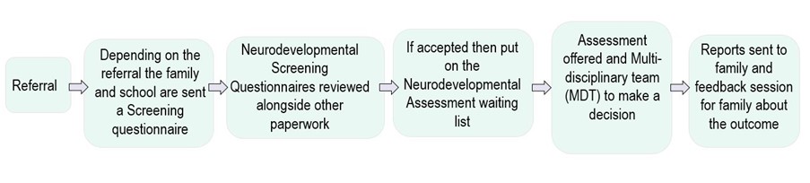Neurodevelopmental pathway