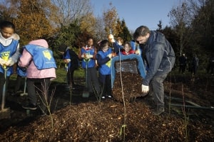 Volunteers spread top soil and bark on to newly planted trees