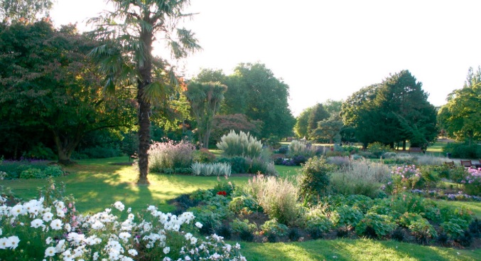 Image of Roundwood Park with plants, flowers and trees