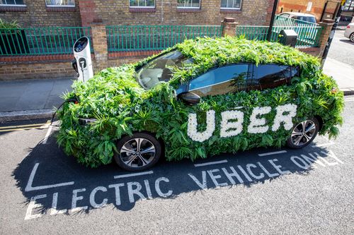 Uber Green charger - image of a car covered in leaves and grass